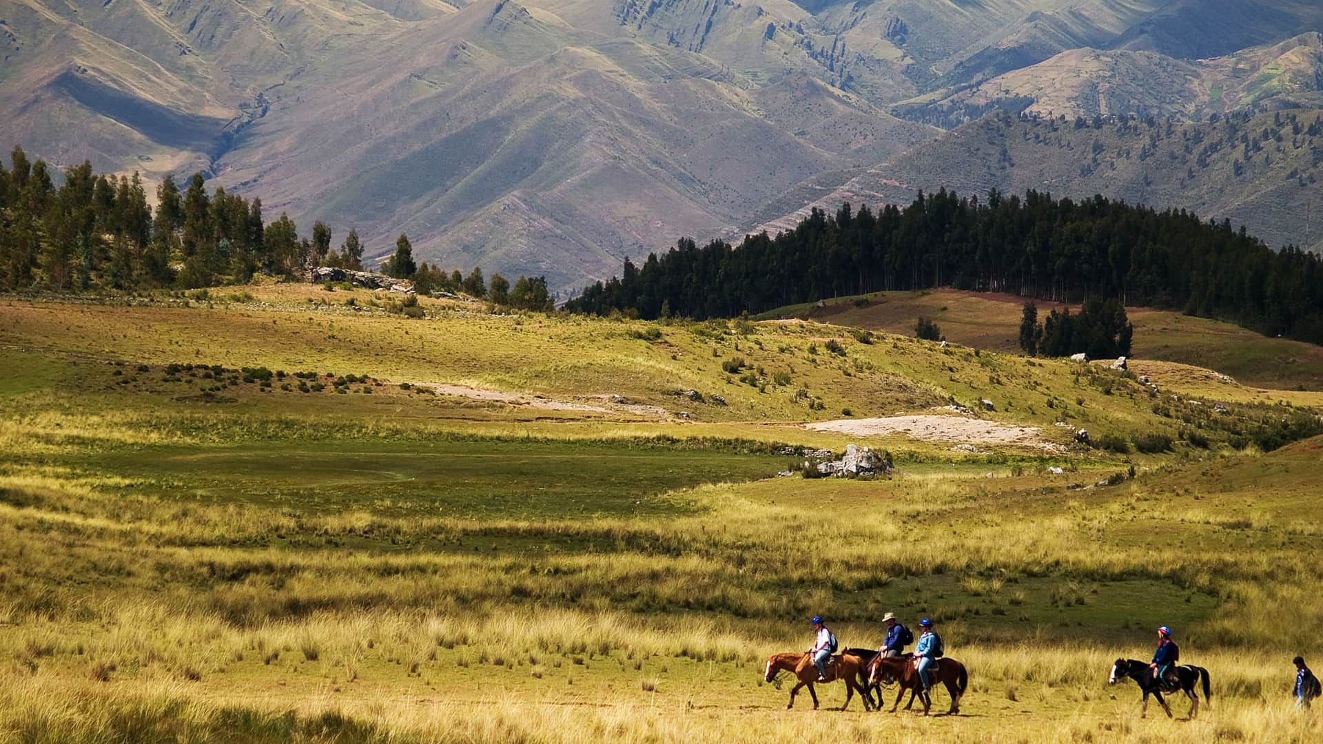 Cabalgatas en Cusco: Explora la naturaleza andina y las ruinas incas