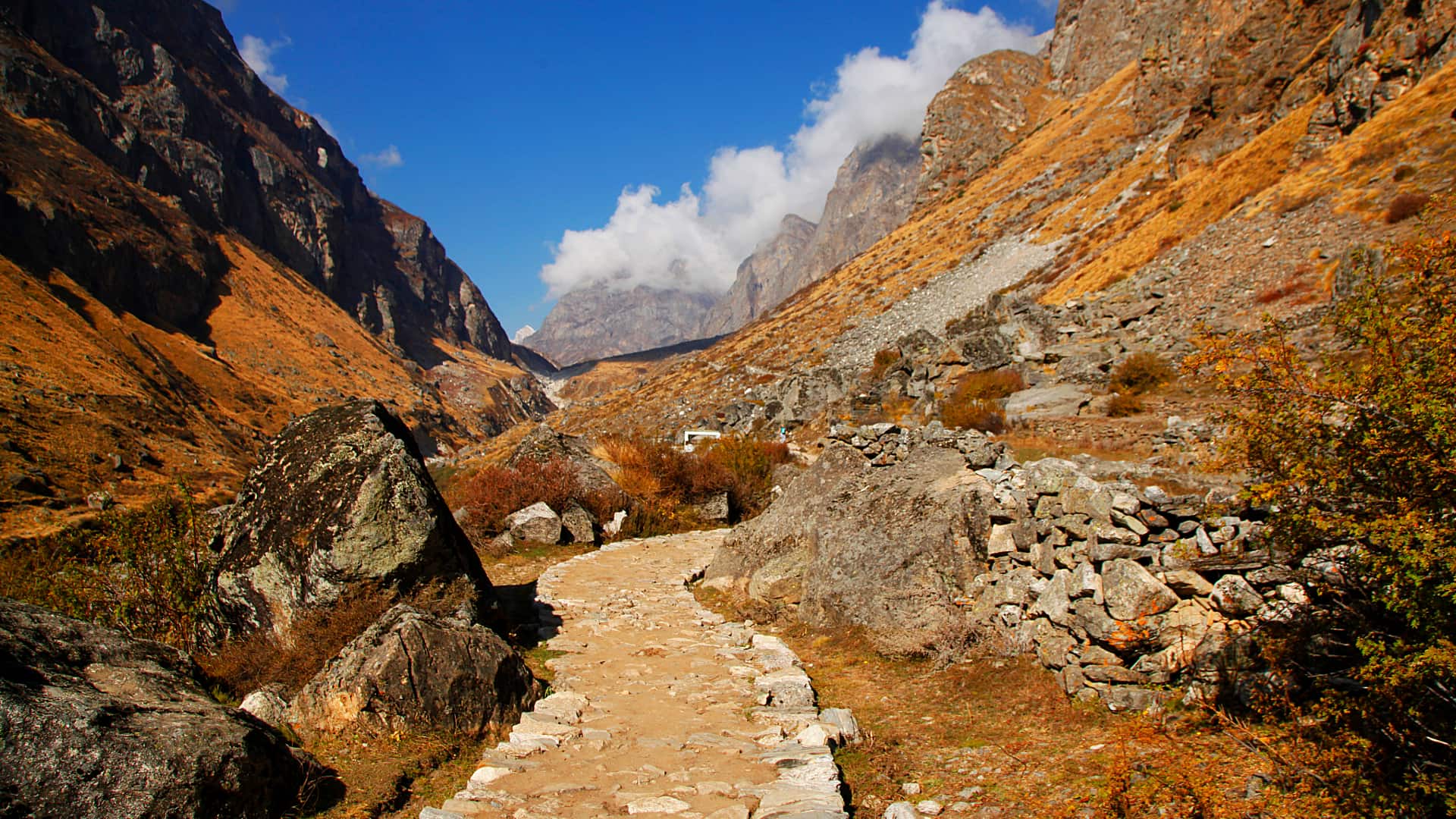 Trek Lares a Machu Picchu 4 Días