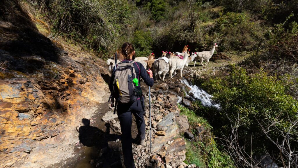 Inca Jungle a Machu Picchu 4 Días: La Ruta de la Adrenalina