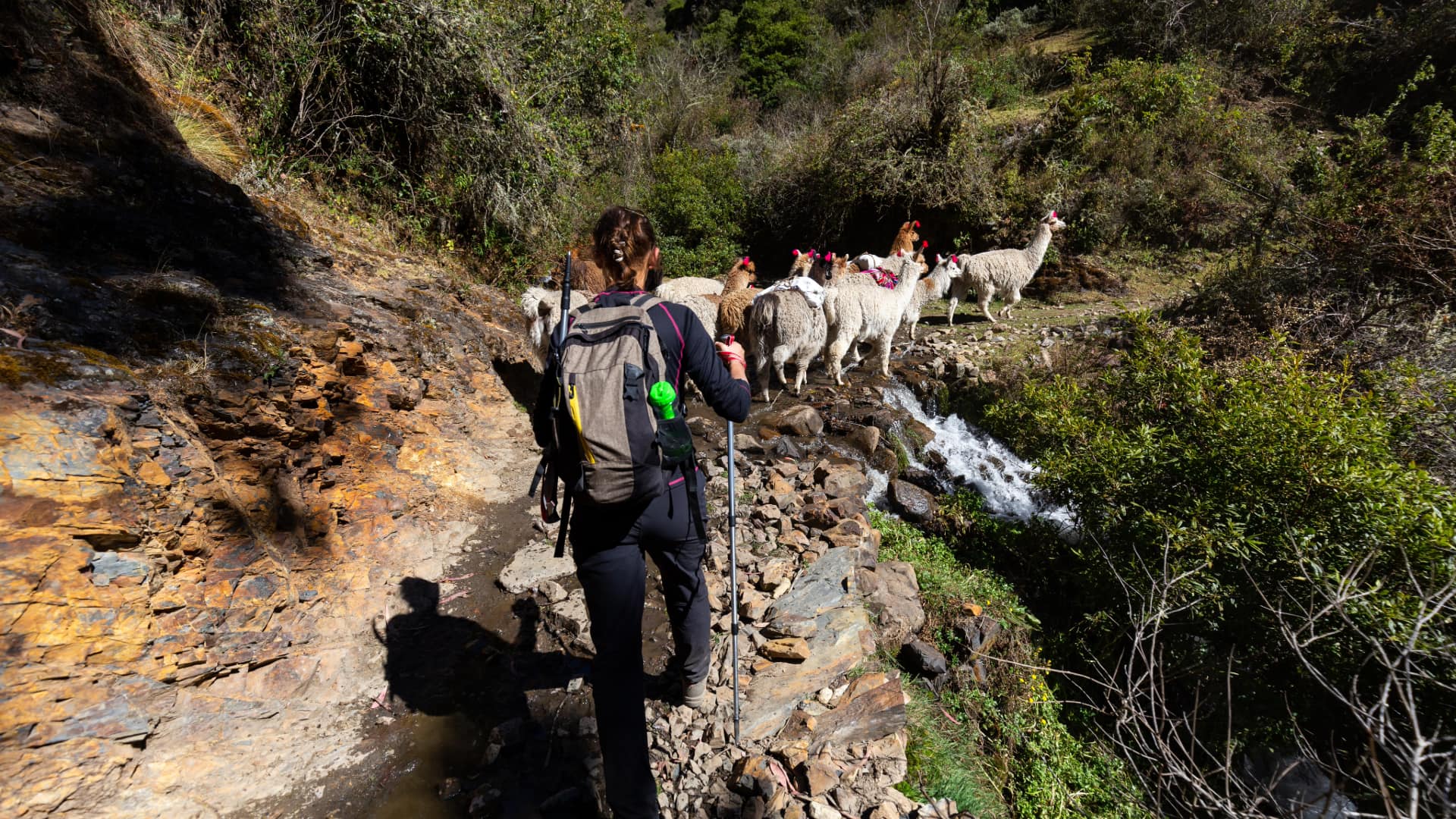 Inca Jungle a Machu Picchu 4 Días: La Ruta de la Adrenalina